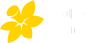 Cancer Council