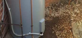 Tree Roots In Drain