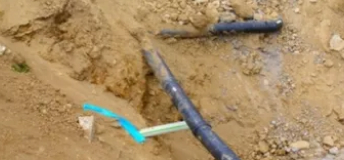 Tree Roots In Drain
